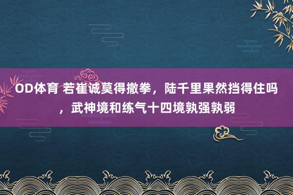 OD体育 若崔诚莫得撤拳，陆千里果然挡得住吗，武神境和练气十四境孰强孰弱
