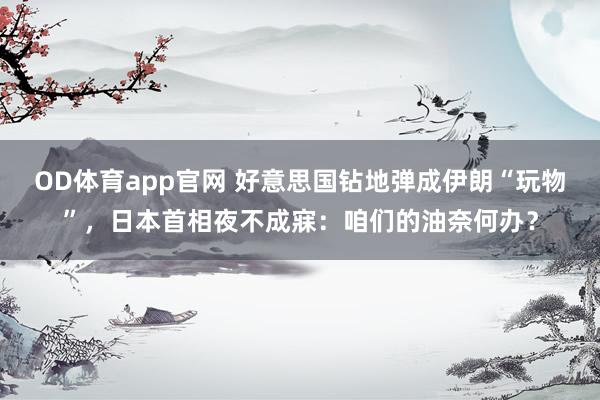 OD体育app官网 好意思国钻地弹成伊朗“玩物”，日本首相夜不成寐：咱们的油奈何办？