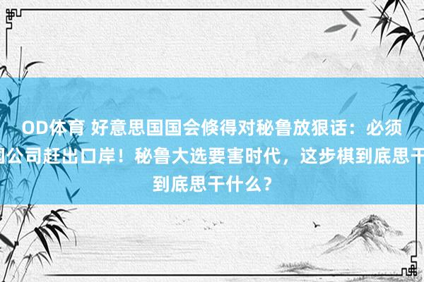 OD体育 好意思国国会倏得对秘鲁放狠话：必须把中国公司赶出口岸！秘鲁大选要害时代，这步棋到底思干什么？