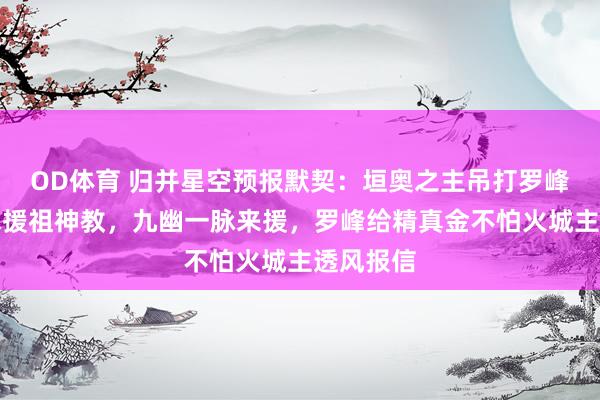 OD体育 归并星空预报默契：垣奥之主吊打罗峰，罗峰求援祖神教，九幽一脉来援，罗峰给精真金不怕火城主透风报信