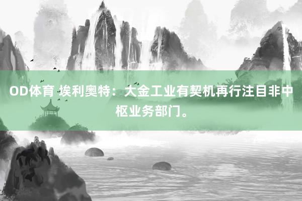 OD体育 埃利奥特：大金工业有契机再行注目非中枢业务部门。
