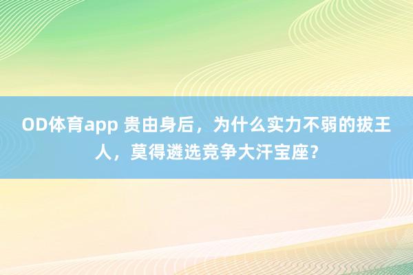 OD体育app 贵由身后，为什么实力不弱的拔王人，莫得遴选竞争大汗宝座？