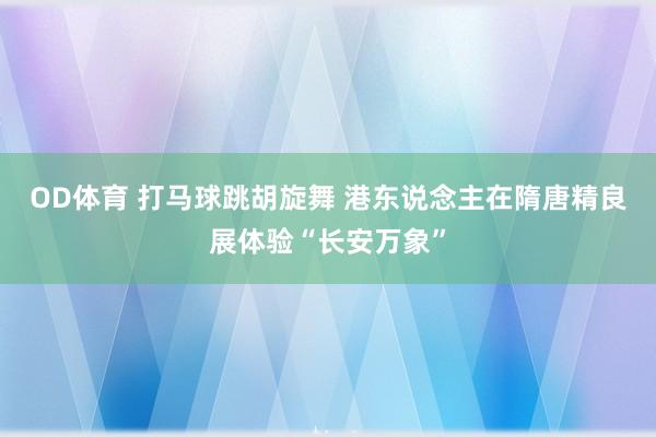 OD体育 打马球跳胡旋舞 港东说念主在隋唐精良展体验“长安万象”