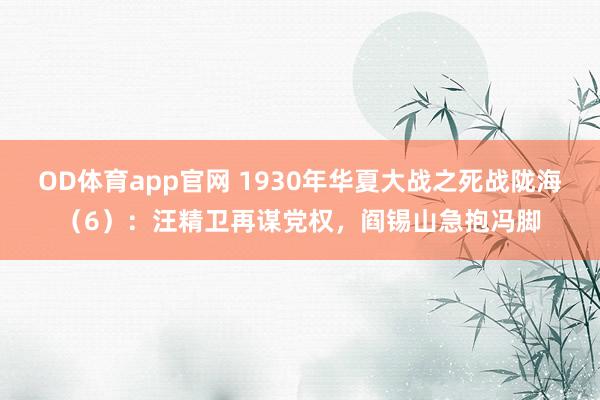 OD体育app官网 1930年华夏大战之死战陇海（6）：汪精卫再谋党权，阎锡山急抱冯脚