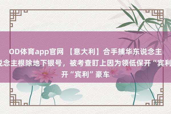 OD体育app官网 【意大利】合手捕华东说念主21东说念主根除地下银号，被考查盯上因为领低保开“宾利”豪车
