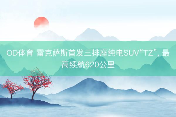 OD体育 雷克萨斯首发三排座纯电SUV“TZ”， 最高续航620公里