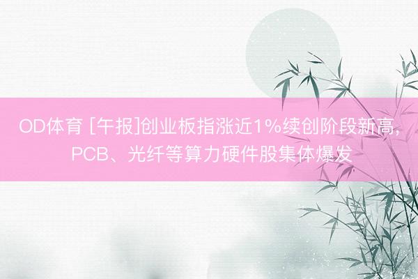 OD体育 [午报]创业板指涨近1%续创阶段新高， PCB、光纤等算力硬件股集体爆发