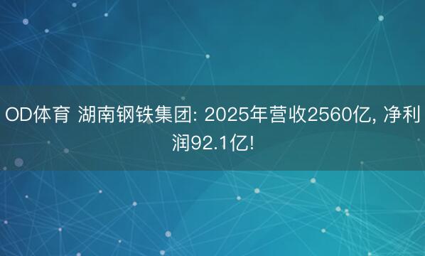 OD体育 湖南钢铁集团: 2025年营收2560亿， 净利润92.1亿!