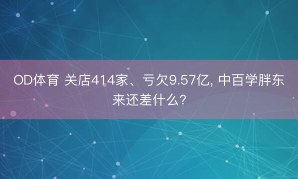 OD体育 关店414家、亏欠9.57亿, 中百学胖东来还差什么?